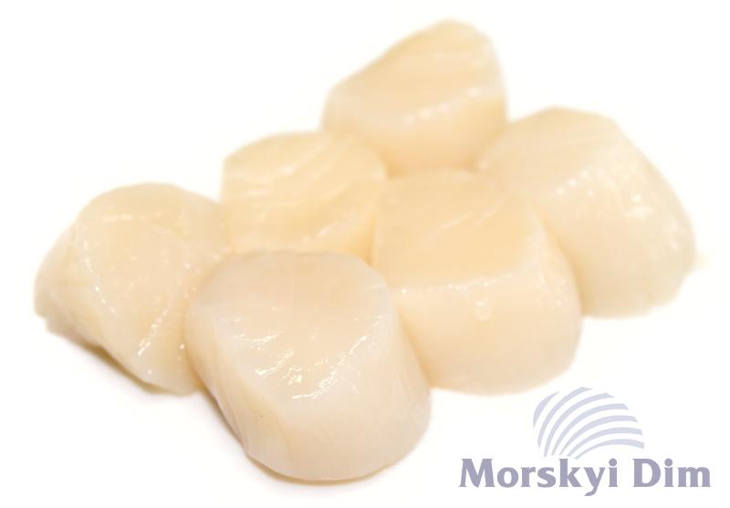 Гребешок замороженный 120/150 Select, DELFIN, 1кг